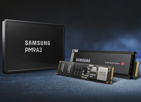 Samsung MZQL23T8HCLS-00B7C 3.84TB Enterprise SSD PCIe 4.0 U.2 NVMe 1.4 for Server Data Center