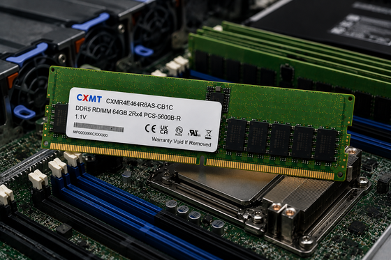 CXMT CXMR4E464R8AS-CB1C 64GB DDR5 5600MT/s 2Rx4 RDIMM Server Memory Module